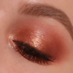 Makeup Revolution The True Icon Bronze Shadow Palette