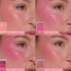 Revolution Blush Icon Palette